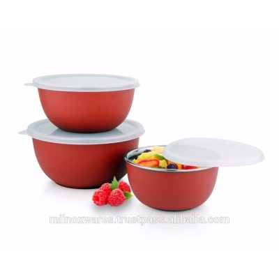 Stainless Steel Euro Bowls with Plastic Lids